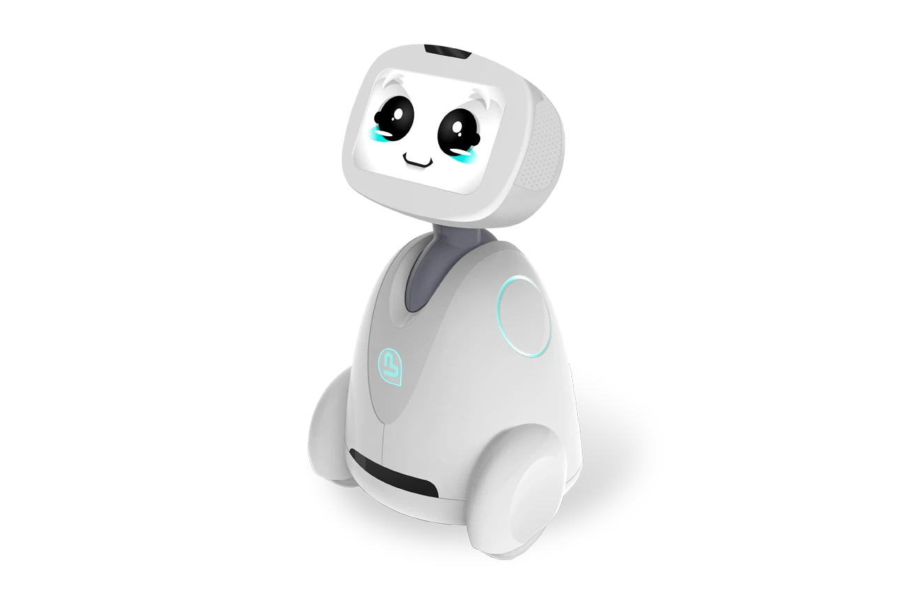 Buddy robot